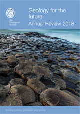 Annual Review 2019